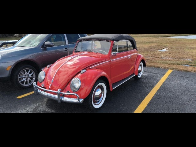 BUY VOLKSWAGEN  BEETLE  1960 CONVERTIBLE , i-44autoauction